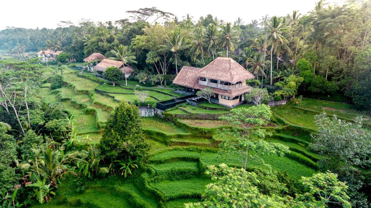 Villa Kelusa อูบุด ภายนอก รูปภาพ