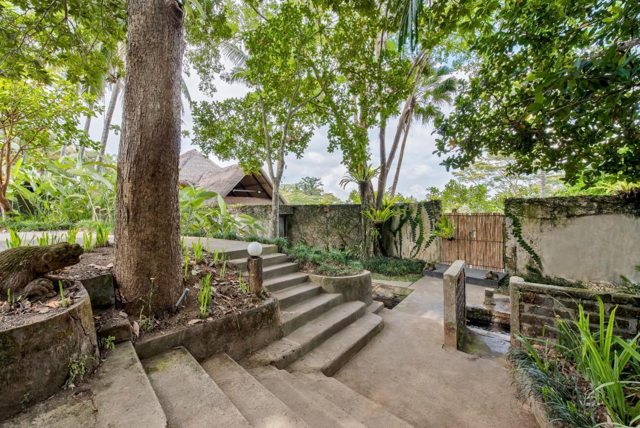 Villa Kelusa อูบุด ภายนอก รูปภาพ