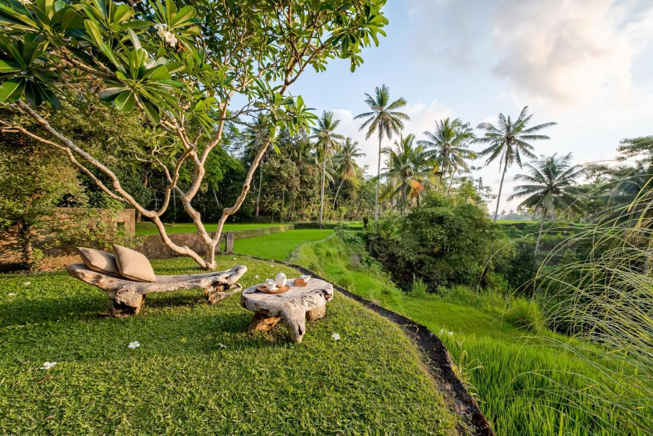 Villa Kelusa อูบุด ภายนอก รูปภาพ